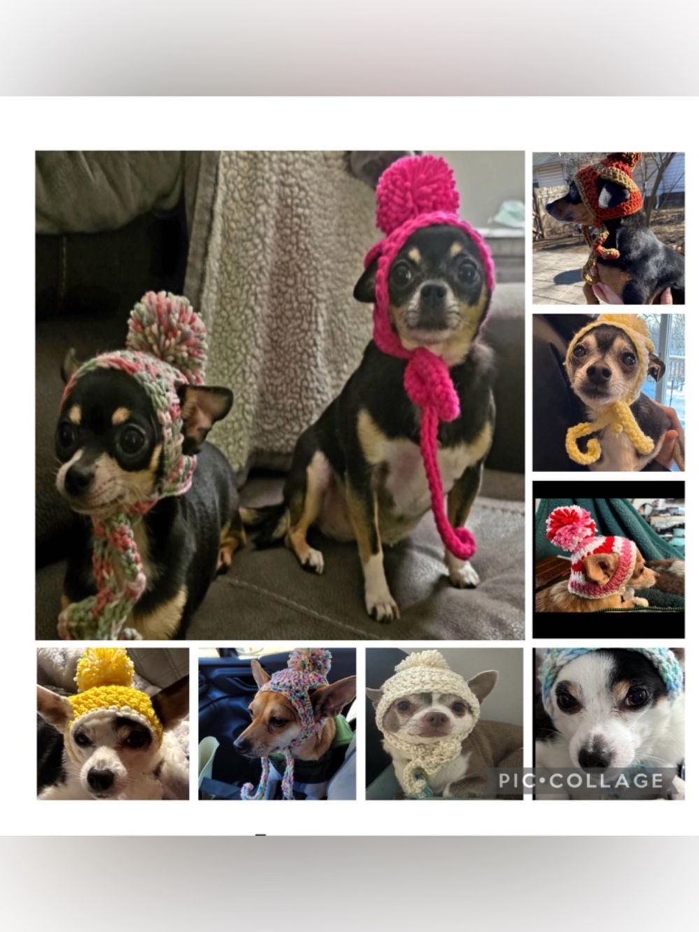 Dog Hat Small Dog Crochet Hat Yellow - Picture 2 of 2